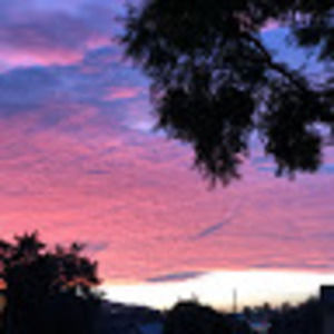 Meet your Posher, Mia